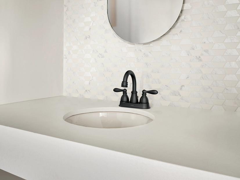 WS84667BL product image.