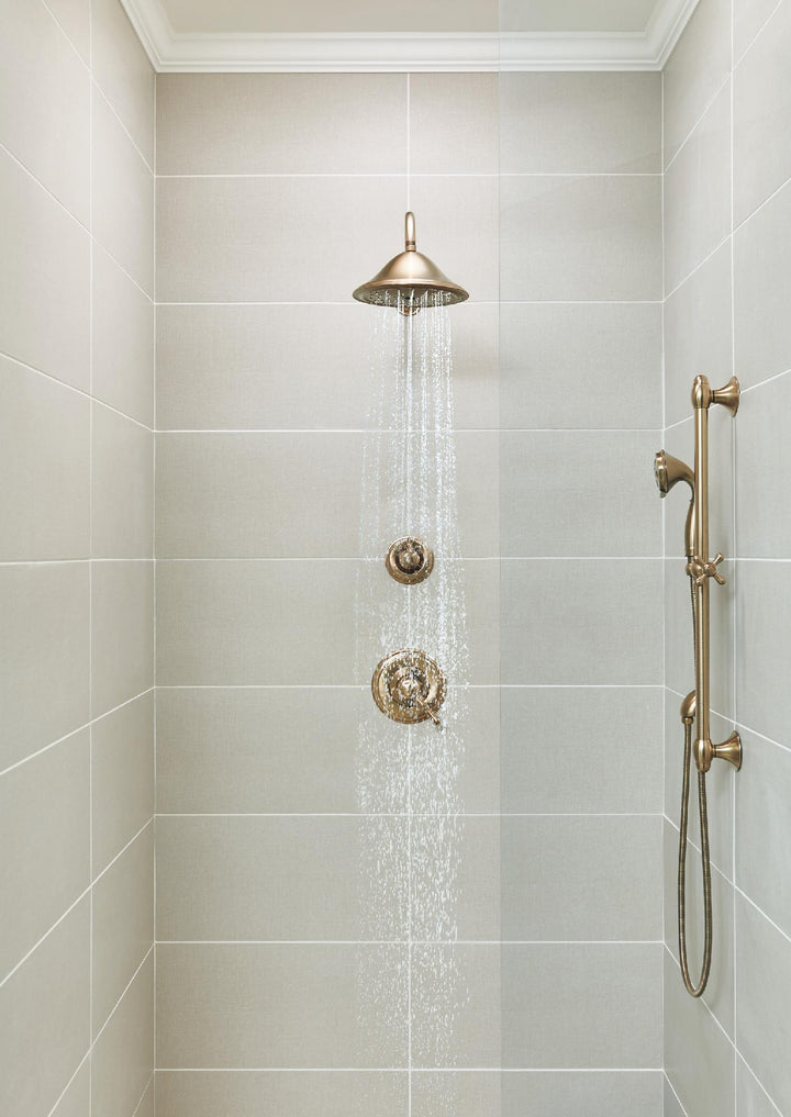 T17T297-CZ product image.