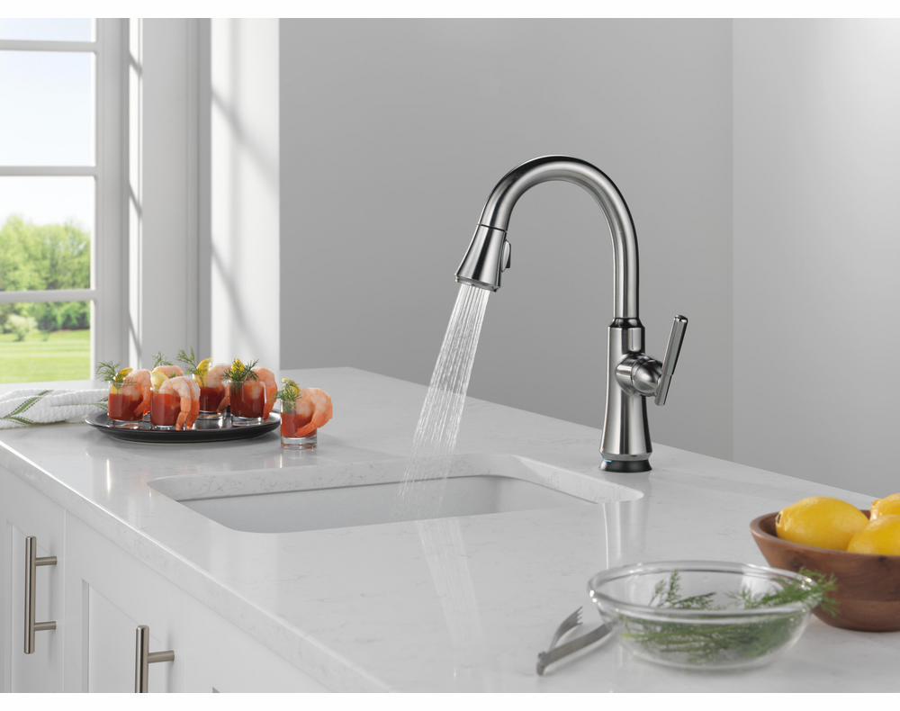 9979TL-AR-DST product image.