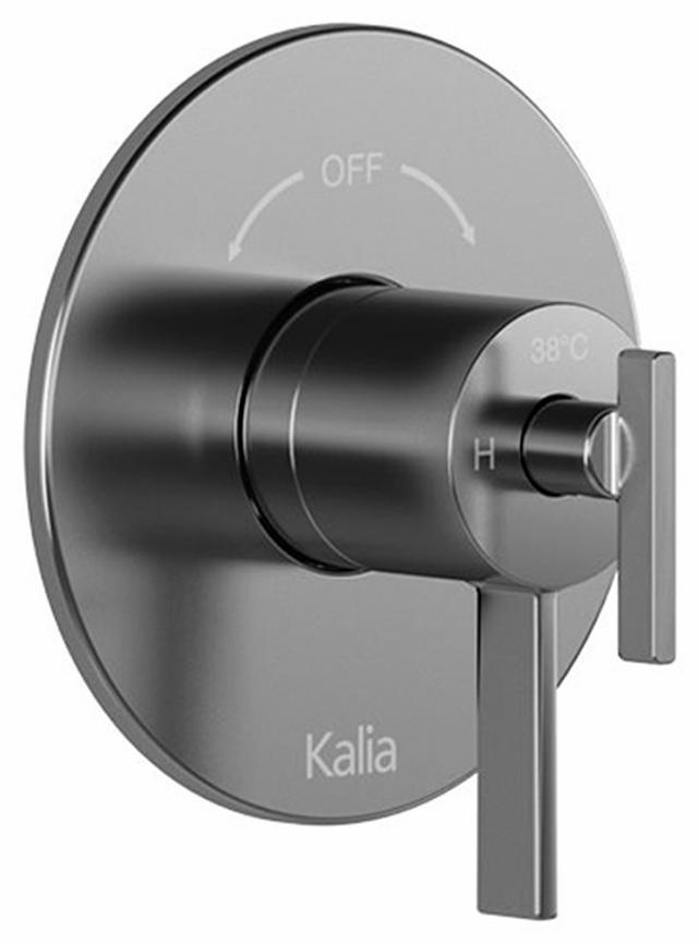 BF1585-125 product image.