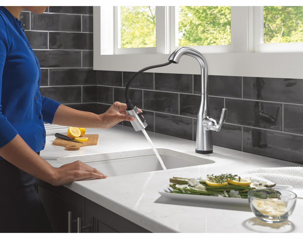 9976TL-AR-PR-DST product image.