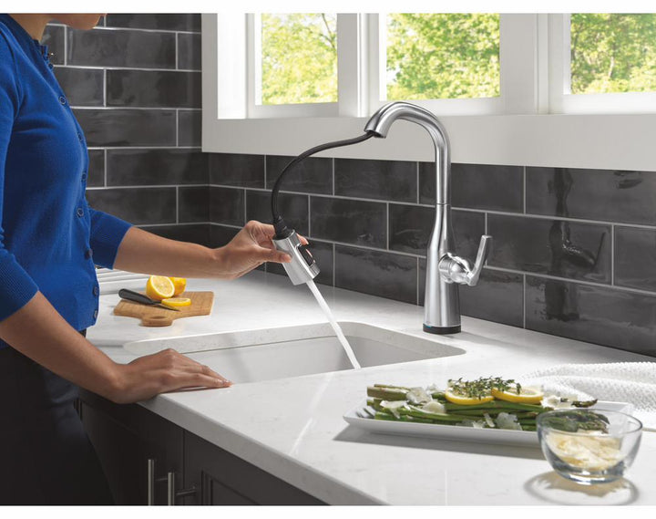 9976TL-AR-PR-DST product image.