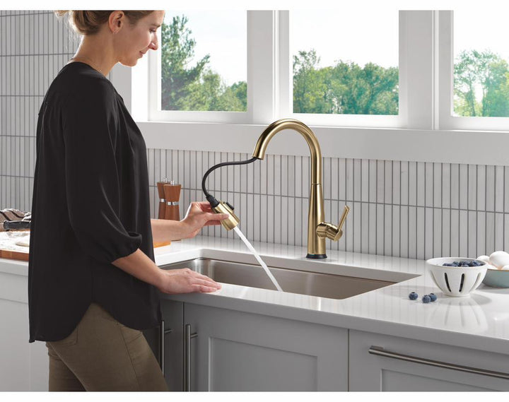 9113TL-CZ-DST product image.