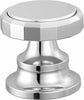 Polished Chrome