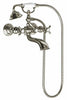 Polished Nickel