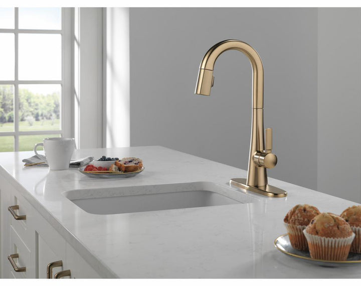 9991-CZ-PR-DST product image.