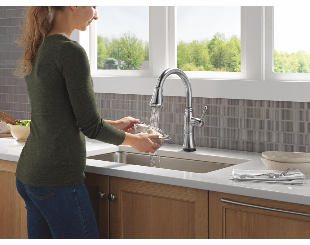 9197TL-AR-PR-DST product image.