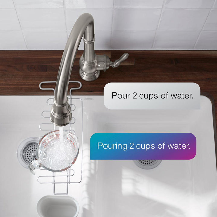 29709-BL product image.