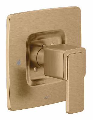 T2571BZG product image.