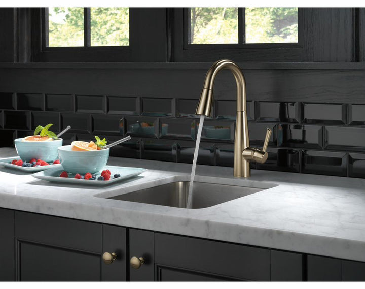 9913-CZ-DST product image.