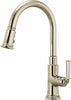 Polished Nickel