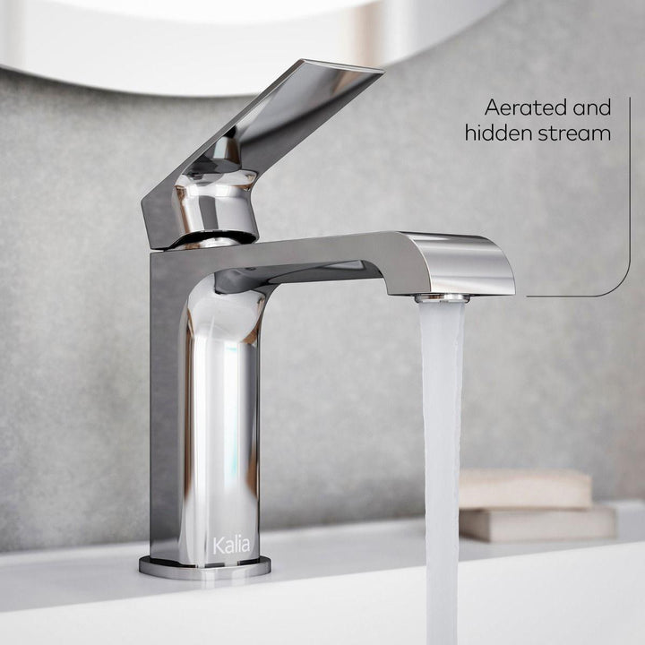 BF1779-110 product image.
