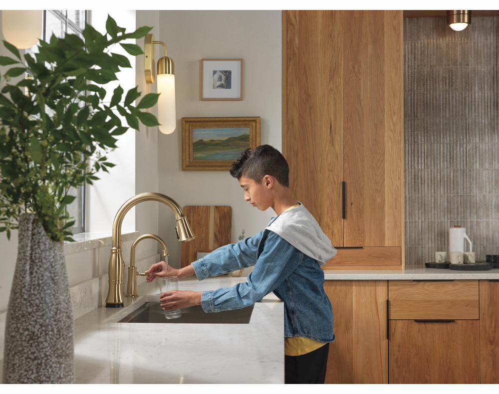9197TL-CZ-PR-DST product image.