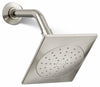 Vibrant Polished Nickel