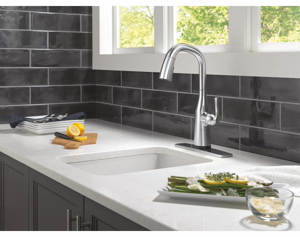9976TL-AR-PR-DST product image.