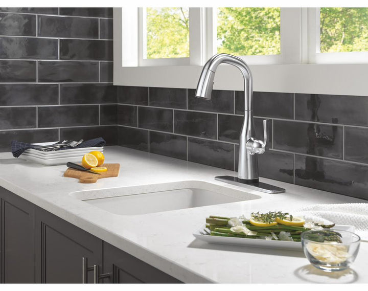 9976TL-AR-PR-DST product image.