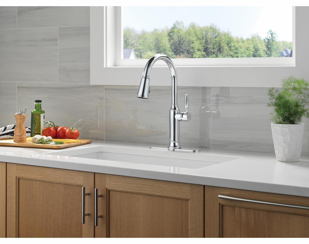 RP100845PCPR product image.