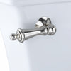 Polished Nickel