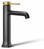Matte Black with Brushed Moderne Brass