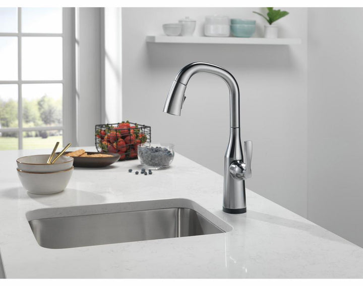 9976T-AR-PR-DST product image.