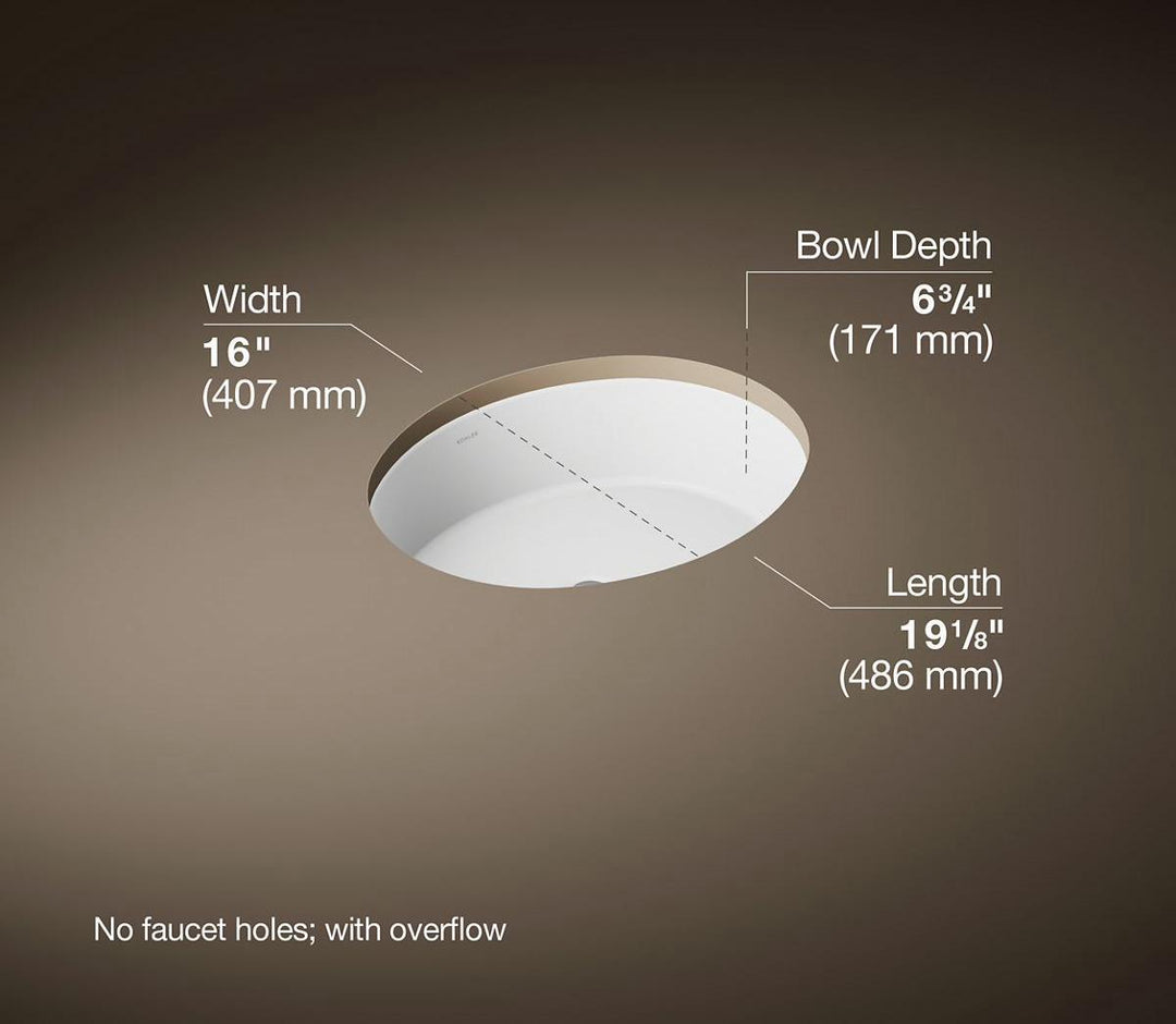 2881-0 product image.