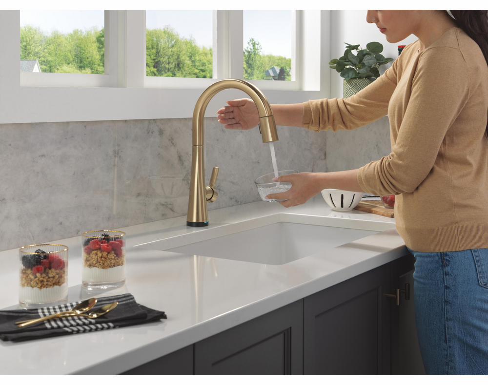 9191TL-CZ-PR-DST product image.