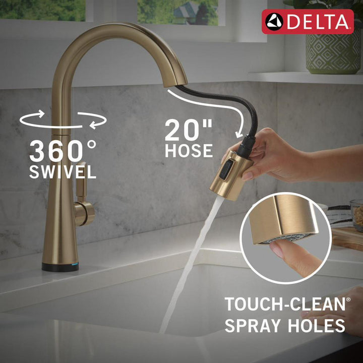 9191TL-CZ-PR-DST product image.