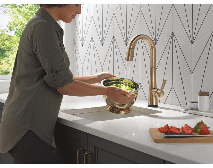 9991TL-CZ-PR-DST product image.