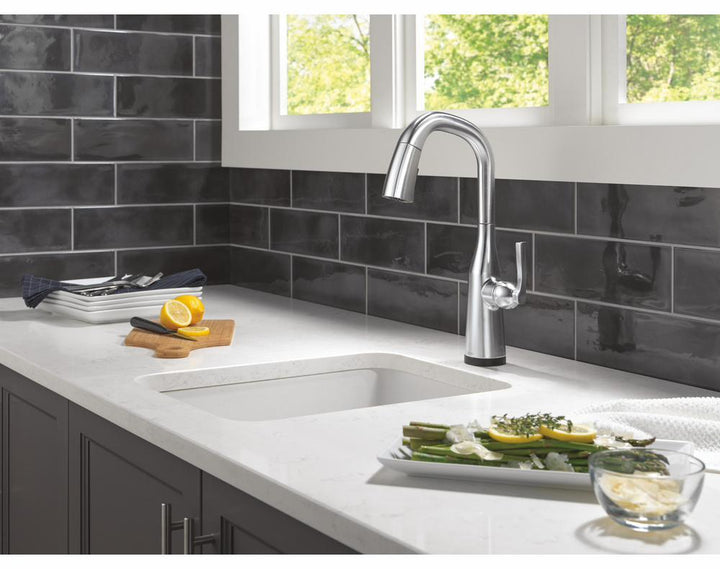 9976TL-AR-PR-DST product image.