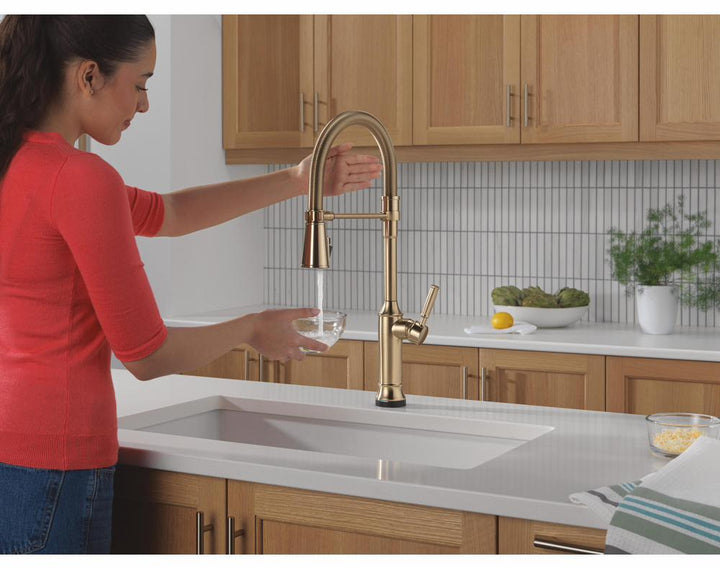 9684TL-CZ-PR-DST product image.