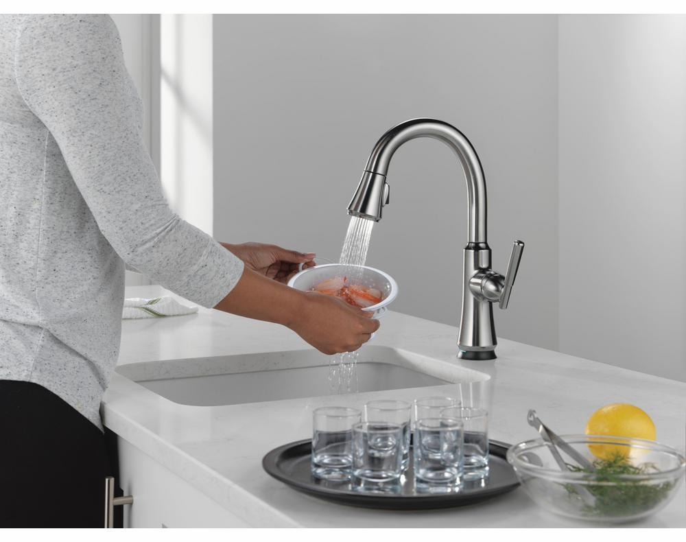 9979TL-AR-DST product image.