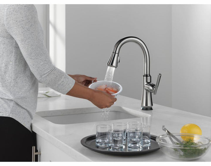 9979TL-AR-DST product image.