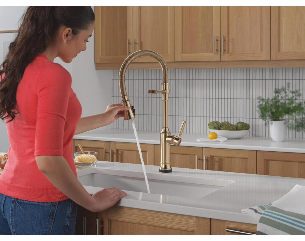 9684TL-CZ-PR-DST product image.