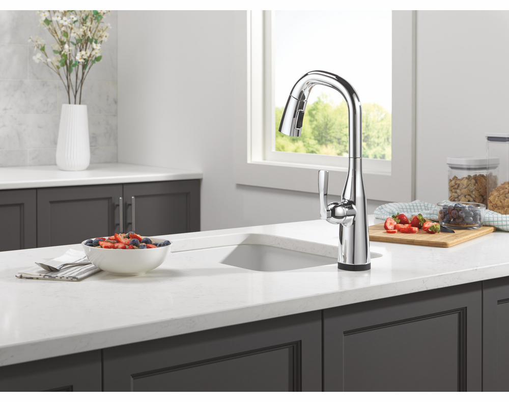 9976TL-PR-DST product image.