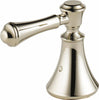 Polished Nickel