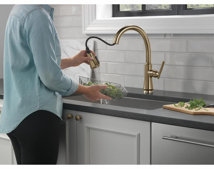 9179-CZ-DST product image.