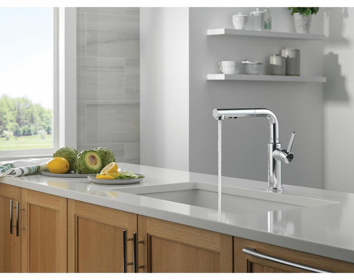 16879-DST product image.