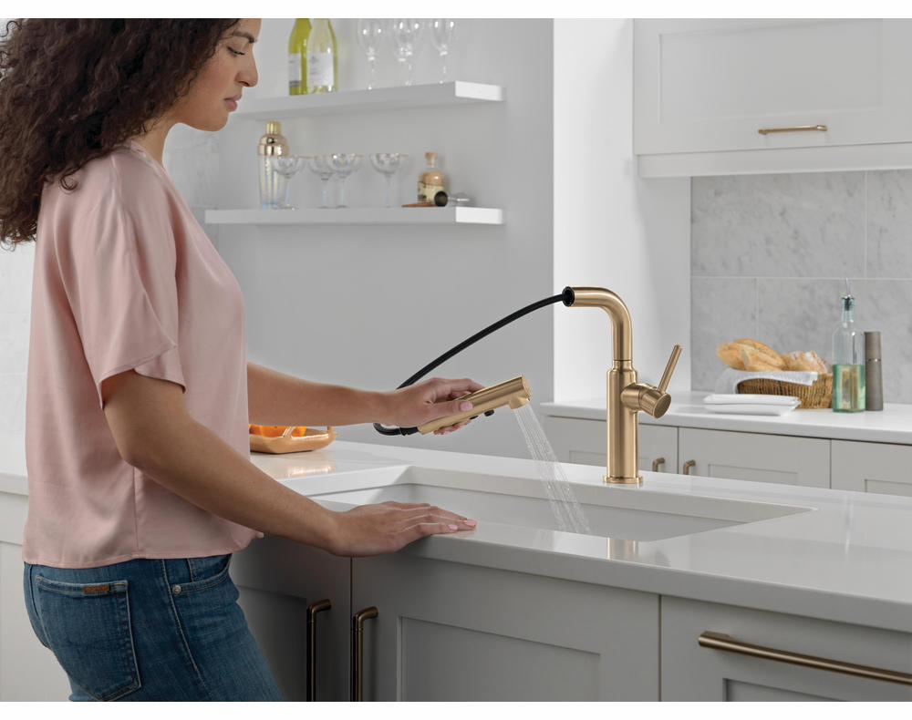 16879-CZ-DST product image.