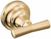 Polished Gold