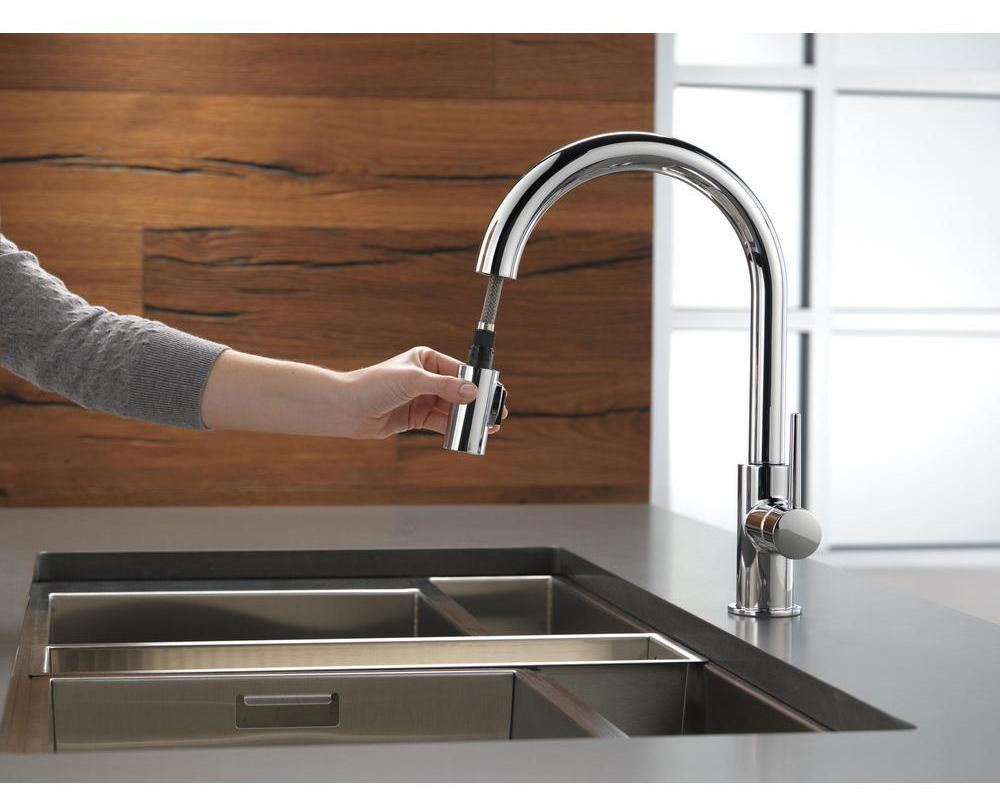 Delta Trinsic Kitchen store faucet