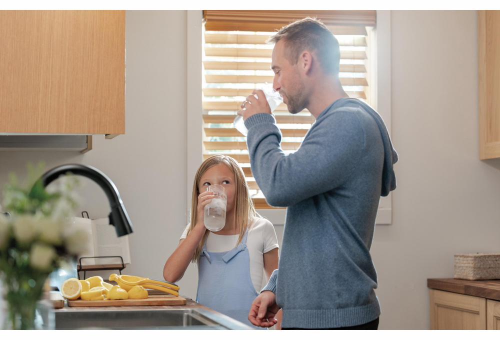 9113TL-BL-DST product image.