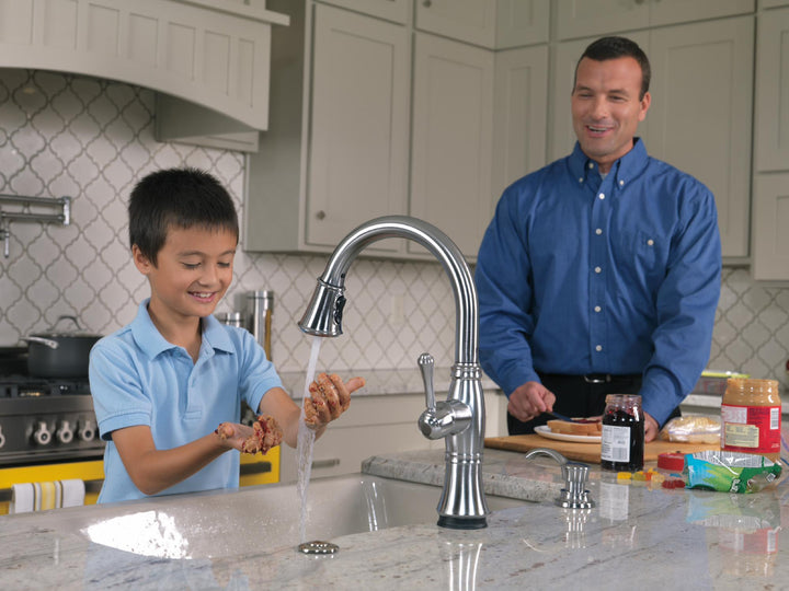 1177LF-AR product image.