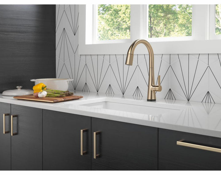 9191T-CZ-PR-DST product image.