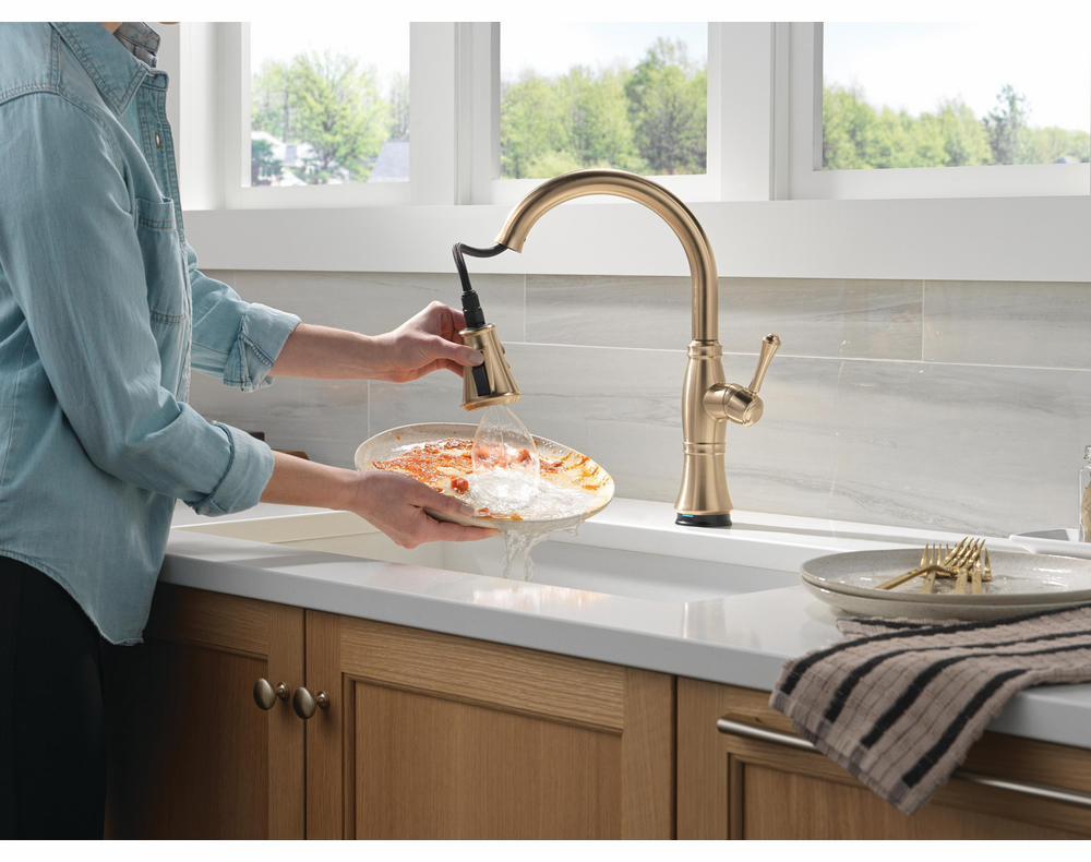 9197TL-CZ-PR-DST product image.