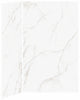 Minerals Gloss