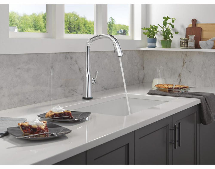 9176TL-PR-DST product image.