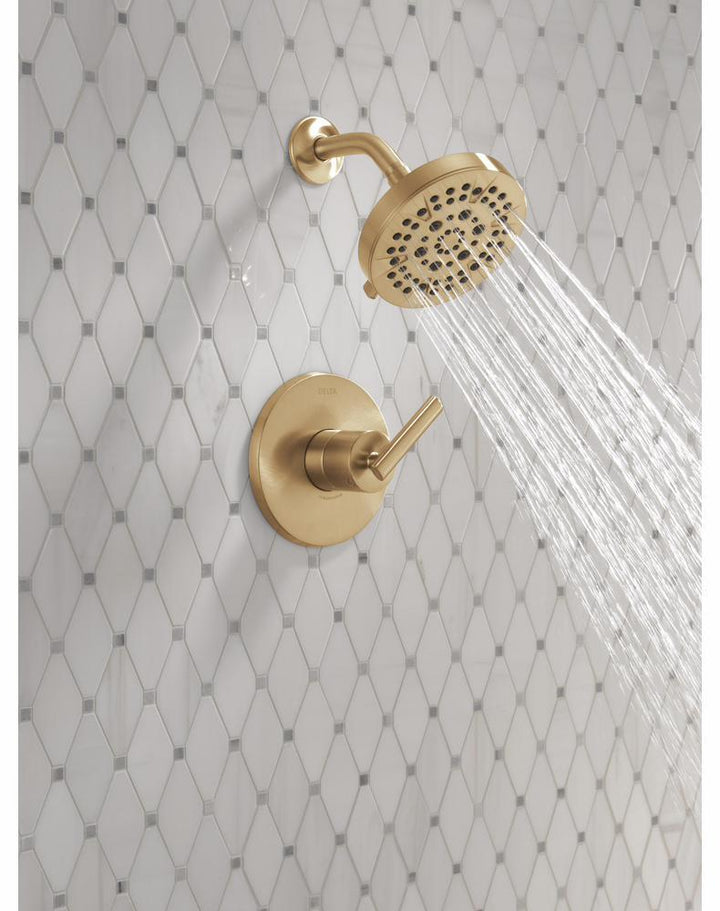T14242-CZ product image.