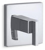 Polished Chrome