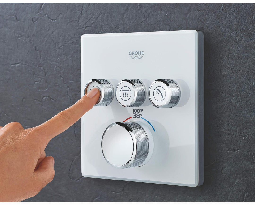 29165LS0 product image.