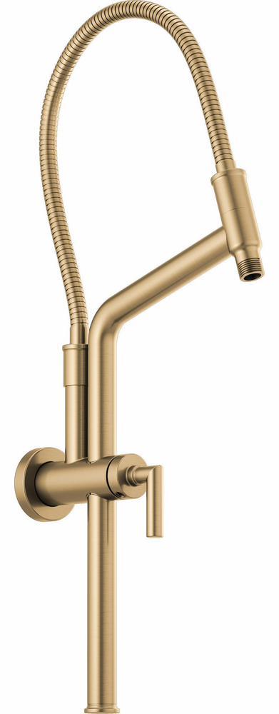 81892-GL product image.